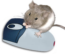 Die Palnung mit der Maus